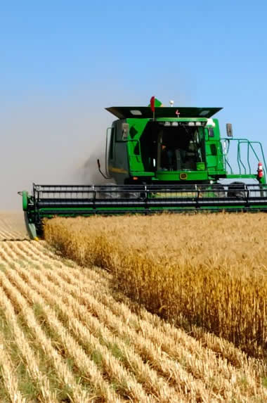 Agriculture